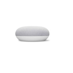 GOOGLE Speaker Altoparlante Nest Mini Rock Candy GA00638ES