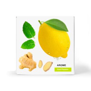 Infuso a Freddo WeWater Arome Cool Passion