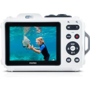ImageHttpHandler 2024 04 09T170718.652
