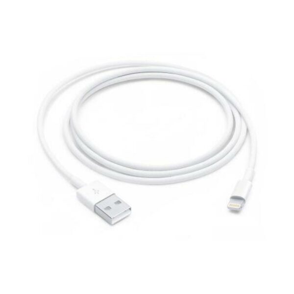Apple Cavo Lightning USB 1Mt