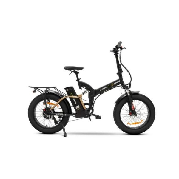 Argento E Bike Bimax XL Bici Elettrica Autonomia 80Km