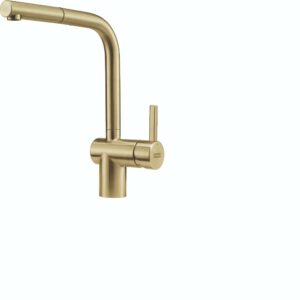 Franke Miscelatore Canna Lunga Atlas Neo Doccia Gold 1150681242