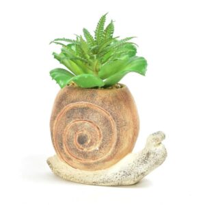Piantina di Lumaca in Vaso Mercury