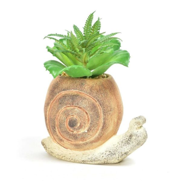 Piantina di Lumaca in Vaso Mercury