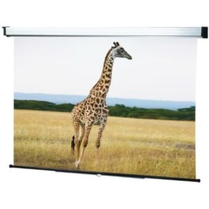 Sopar Telo Manuale per Proiettore New Spring 4:3 220 x 165 3221