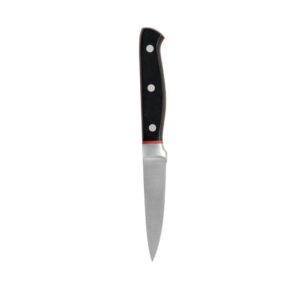 Ceppo Professional Nero con Affila Coltelli con 5 Coltelli Inox Brandani 5