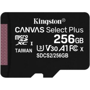 Micro SD 256GB Canvas Select Plus con Adattatore SD Kingston SDCS2256GB