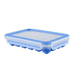 Contenitore Cubetti Ghiaccio Rettangolare Clip & Close Emsa