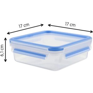 Contenitore Salvafreschezza Quadrato 0.85LT Clip & Close Emsa