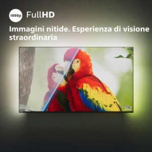 ImageHttpHandler 2025 02 17T174146.254
