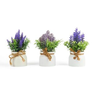 Lavanda in Vasetto in Plastica e Metallo 7.6 x h.17 Cm Design CASUALE Mercury