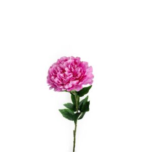 Peonia Fucsia in Poliestere e Plastica 15 x 15 x h.73 Cm Mercury