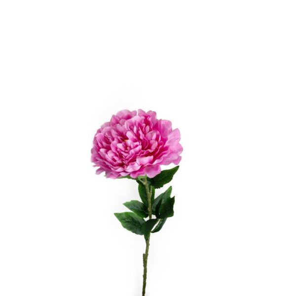 Peonia Fucsia in Poliestere e Plastica 15 x 15 x h.73 Cm Mercury 24216