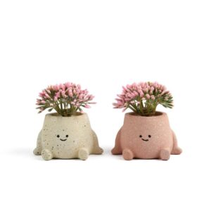 Piantina in Vasetto Cute in Plastica e Cemento 7 x 5.5 x h.8.5 Cm Design CASUALE Mercury
