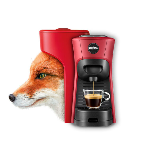 1 554
