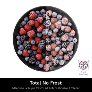 LG GBV3200DPY Frigorifero Combinato 387L Classe D Argento No Frost 7 6 338