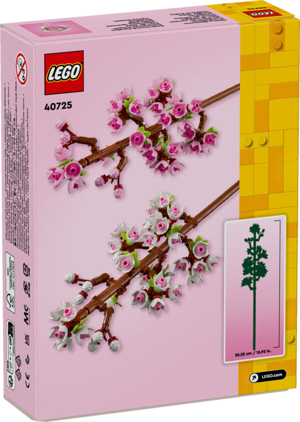 6 61