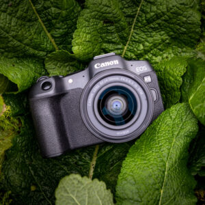 Canon EOS R8 Fotocamera Mirrorless Full Frame 24.2MP Nera 10 9 271