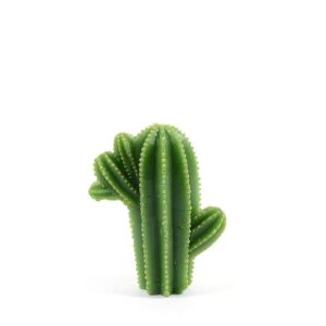 CANDELA CACTUS DIPINTA A MANO H15.5X12.5X6CM - 42213MEY