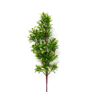 PICK SEMPREVERDE DRACAENA IN PLASTICA H.55CM