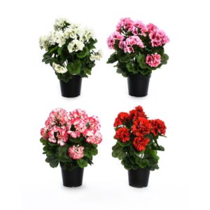GERANIO IN PLASTICA IN VASO D30XH.38CM COLORI ASS.