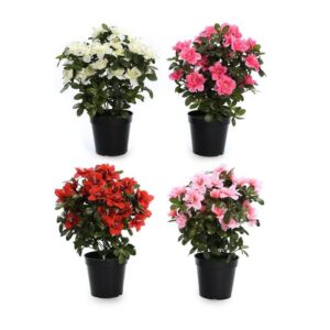 AZALEA IN PLASTICA IN VASO D.30XH.38CM COLORI ASS.