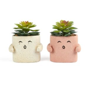 PIANTINA GRASSA VASO HUG CEMENTO 12,5X8XH15CM ASS.