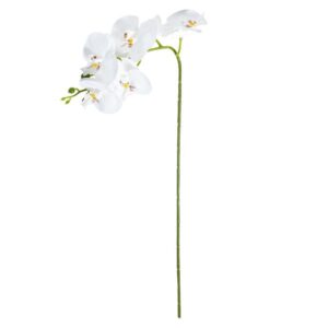 ORCHIDEA 5 FIORI BIANCA IN EVA/PLASTICA/MET. 66CM