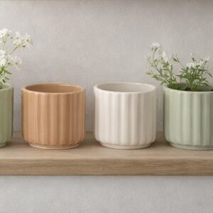 ambientazione vasetti