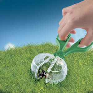 Clementoni x Geopop Il Mondo degli Insetti 19428 Gioco Scientifico Kit Fauna Box Acchiappa-Insetti 10+ Anni Made in Italy 8 6 2