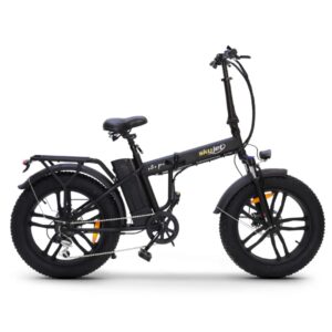 Bici Con Pedalata Assistita Fat Bike 20" Pieghevole Nero Opaco F.LLI Schiano Srl