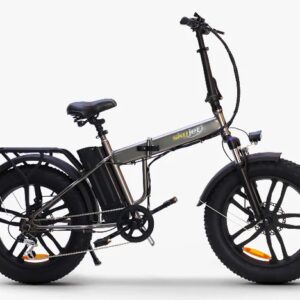 Bici Con Pedalata Assistita F.LLI Schiano Srl Fat Bike 20" Pieghevole Silver