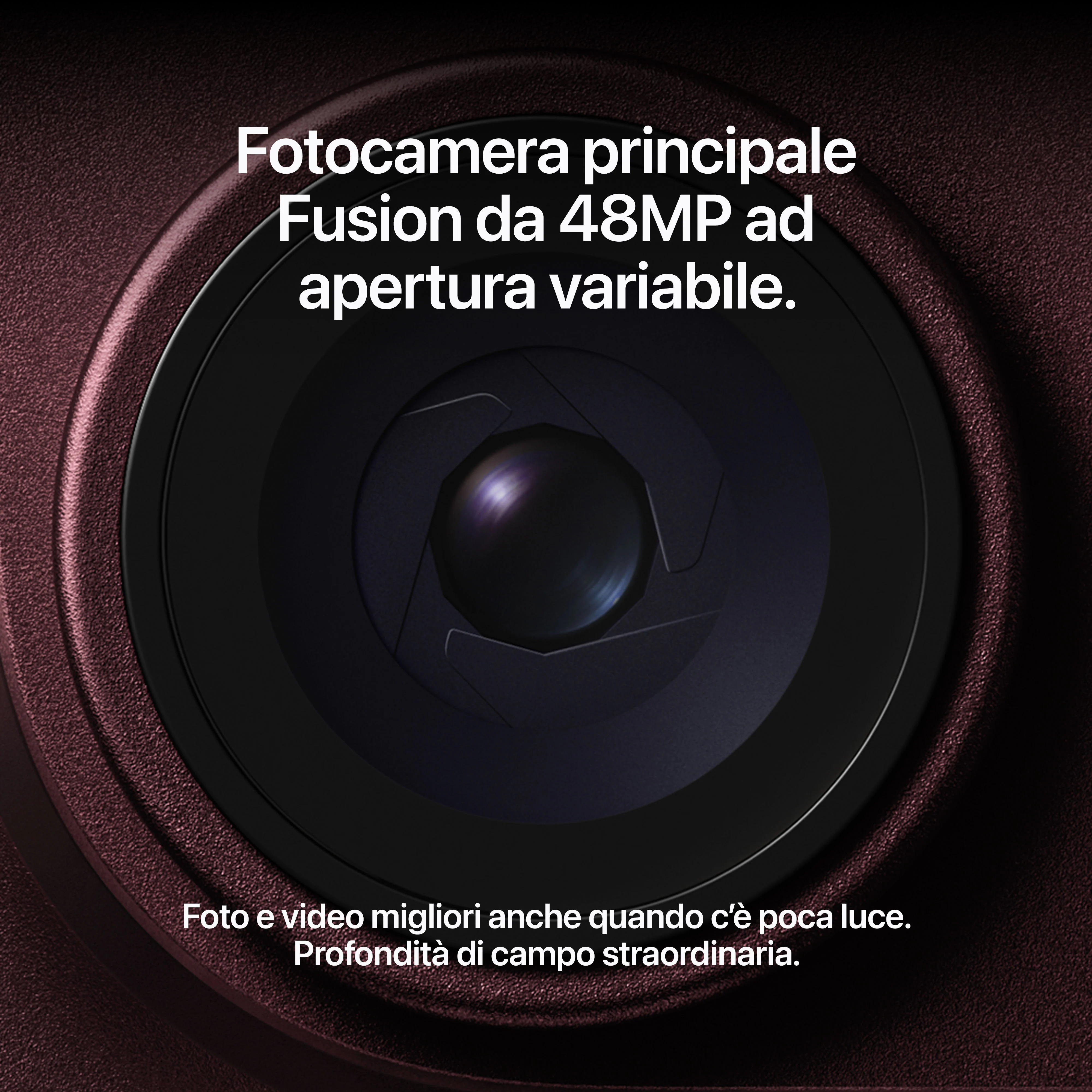66e3dd08 e55b 4aa2 82a7 6294459753bf