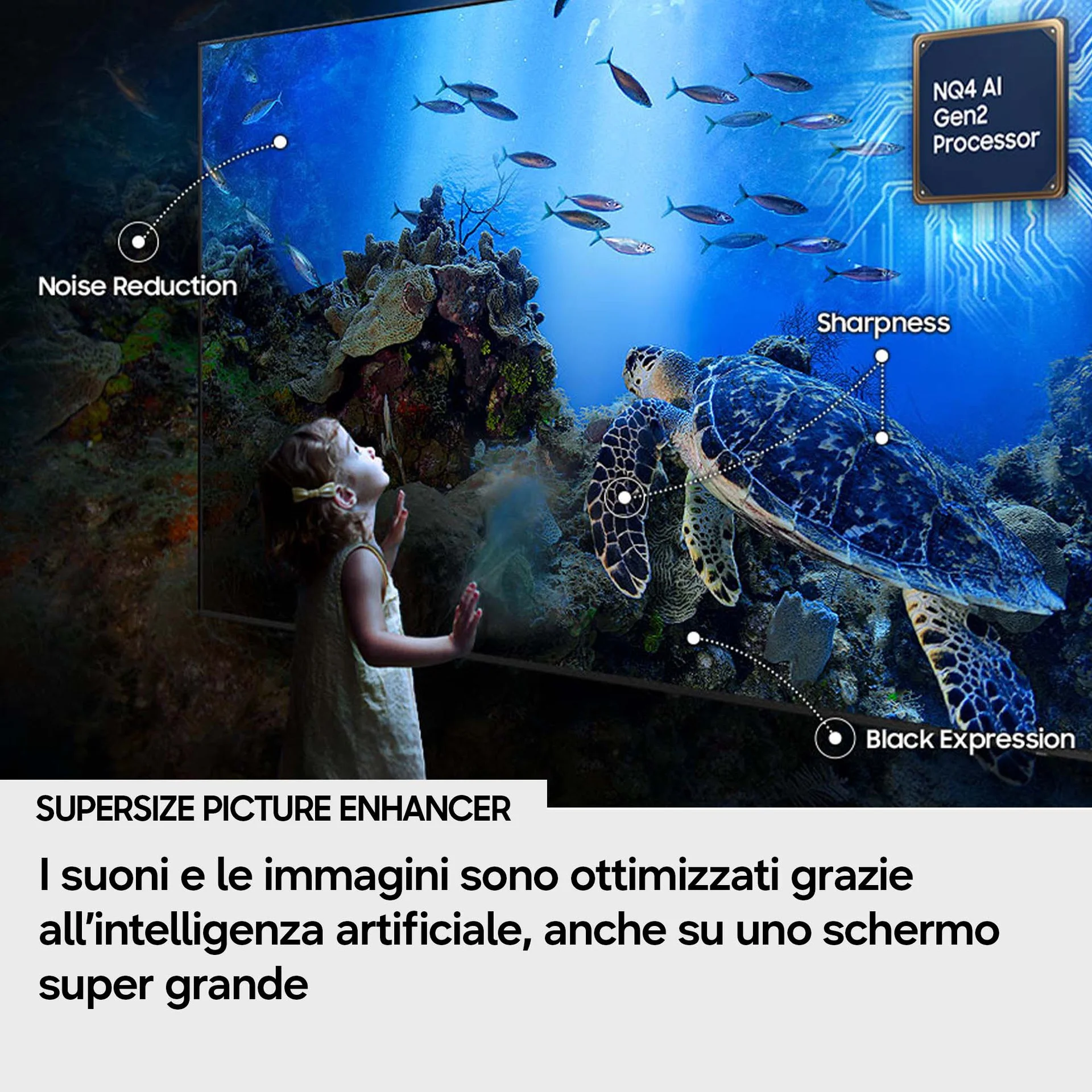 98506718 2fab 4896 aa5f ba416bfceac1